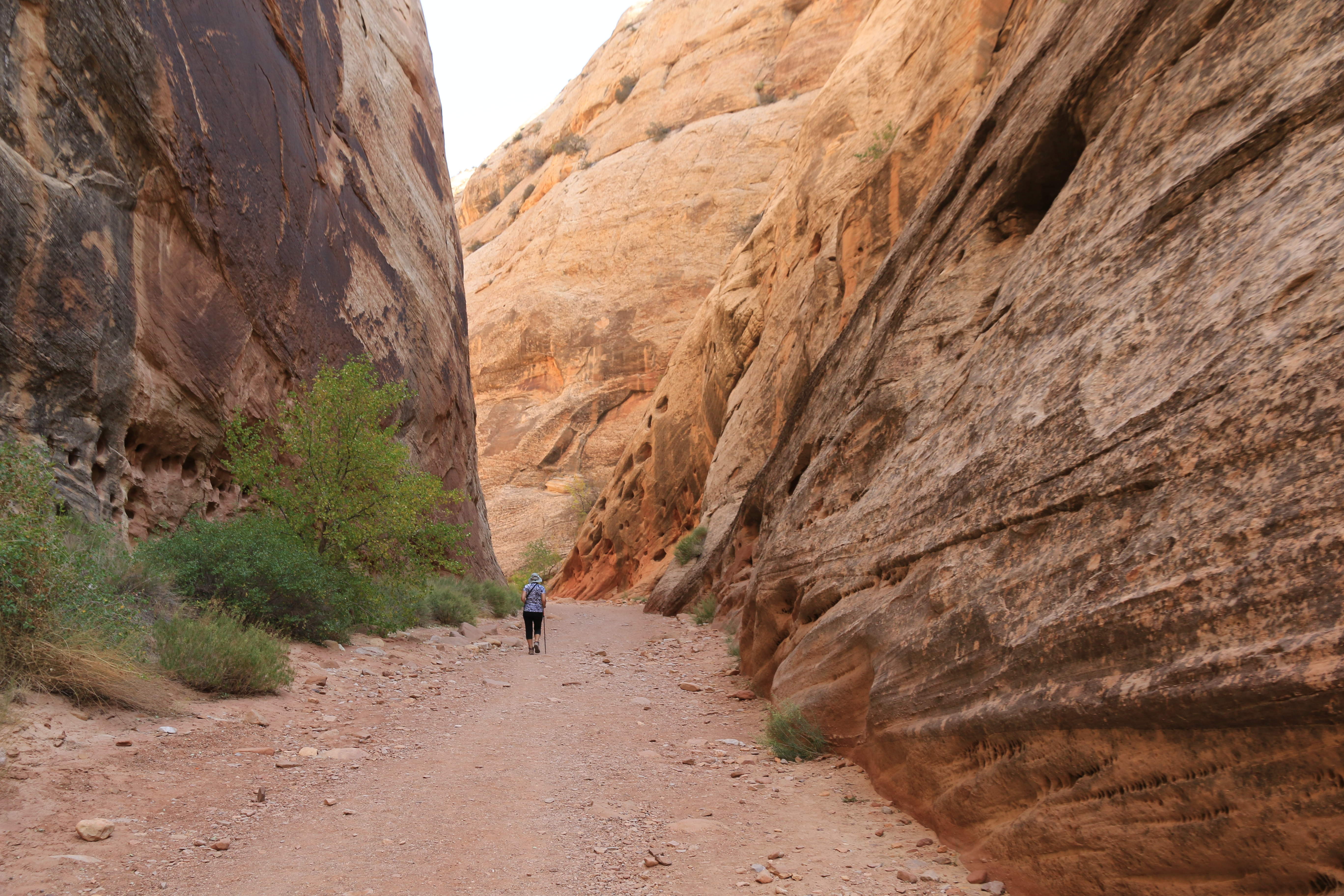 Capitol Reef NP
